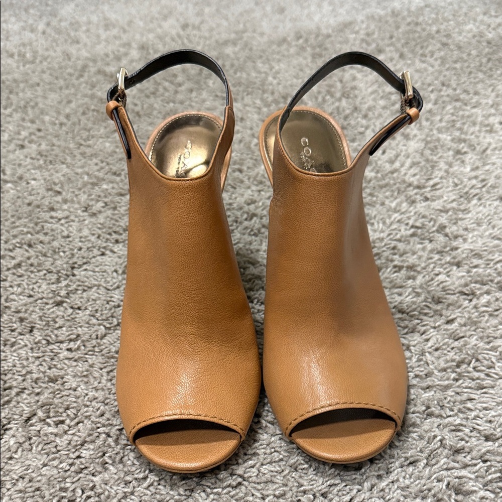 Coach Womens Lanora Sandals Beige
Ginger Stacked Heels Ankle Strap
Buckle sz 39